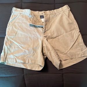 Patagonia Shorts